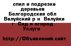 спил и подрезка деревьев - Белгородская обл., Валуйский р-н, Валуйки г. Сад и огород » Услуги   